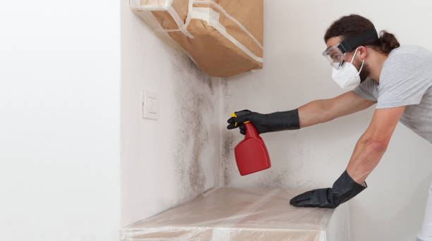Professional Black Mold Removal technician working in Flanders, NJ
