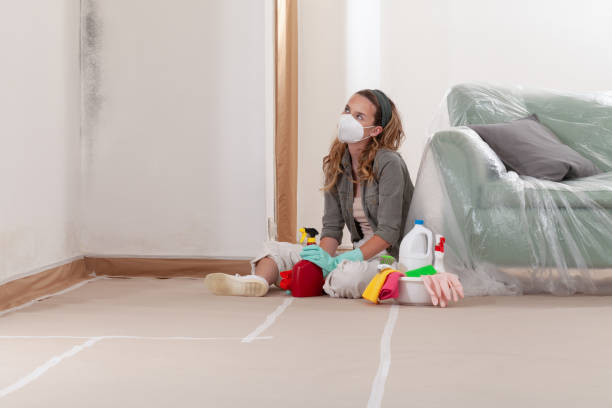 Reliable Black Mold Removal contractor in Flanders, NJ by WQB Mold Removal
